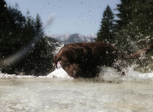 US Travel Guide 2025: Top 5 Destinations for Wildlife Photography