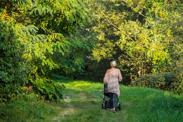 A person in a power wheelchair exploring a wide, paved, accessible boardwalk through a lush, green forest, with dappled sunlight filtering through the trees, emphasizing the joy of nature exploration.