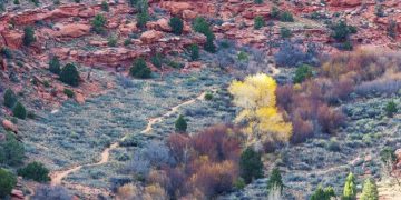 US Travel Guide: 7 Hidden Historical Sites for 2025 - Cover Image