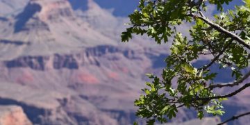 US Sustainable Travel Guide: Eco-Conscious Options for 2025 - Cover Image