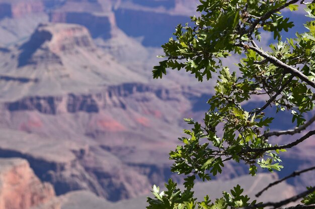 US Sustainable Travel Guide: Eco-Conscious Options for 2025