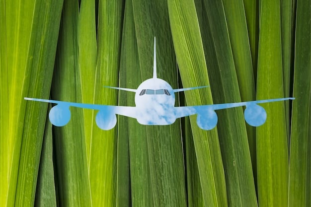 US Airlines Carbon Offset Programs: Worth the cost?