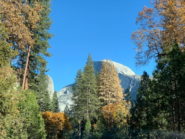 US National Park Fees Up 10% in 2025: Plan Ahead Now