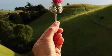 Master Flora & Fauna ID: Elevate Your Travel Experiences - Cover Image