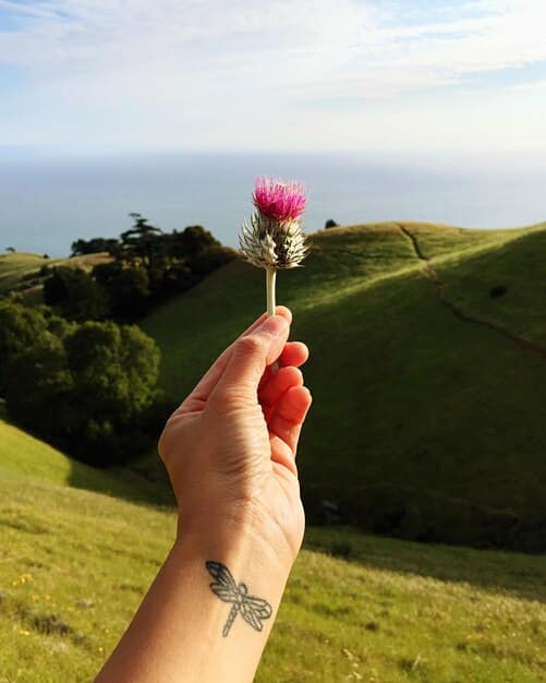 Master Flora & Fauna ID: Elevate Your Travel Experiences