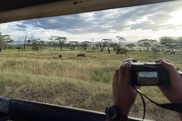A safari vehicle with binoculars and cameras visible, discreetly observing a herd of zebras grazing in a vast, open African savannah.