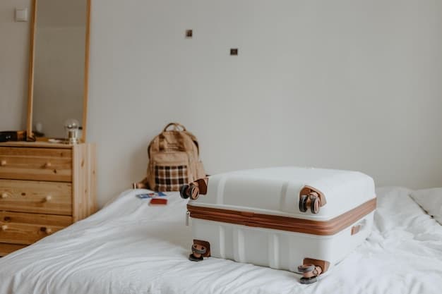 The Art of Packing Light: Your US Travel Guide for 2025