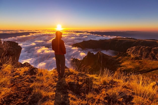 Maximize Your Points: Best Time to Book Travel Rewards in 2025