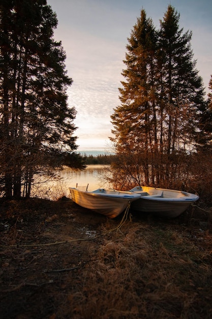 A serene campsite in Grand Teton National Park, with a tent nestled among trees and a campfire burning gently. The image depicts the quintessential national park camping experience, highlighting the importance of camping reservations and adapting to US National Park Reservation System Changes: How to Secure Your Spot in 2025 Amidst Increased Demand.