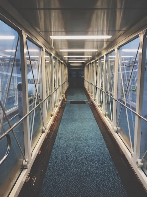 An interior shot of a cruise ship hallway, highlighting the enhanced cleaning measures in place. A crew member is seen using an electrostatic sprayer to disinfect surfaces. Signage promoting hand hygiene and social distancing is visible. The scene showcases Cruise Line Health and Safety Protocols: What's Changed and What You Need to Know Before Boarding.