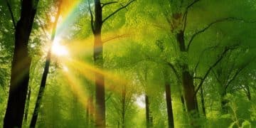 Sustainable Travel Practices: Reduce Your Carbon Footprint - Cover Image