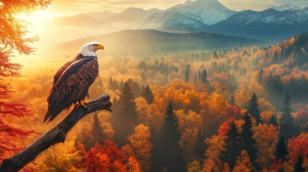 A detailed shot of wildlife, possibly a bald eagle soaring over a mountain range in the US, or a deer foraging in a sunrise-lit forest, emphasizing the importance of non-disruptive photography.